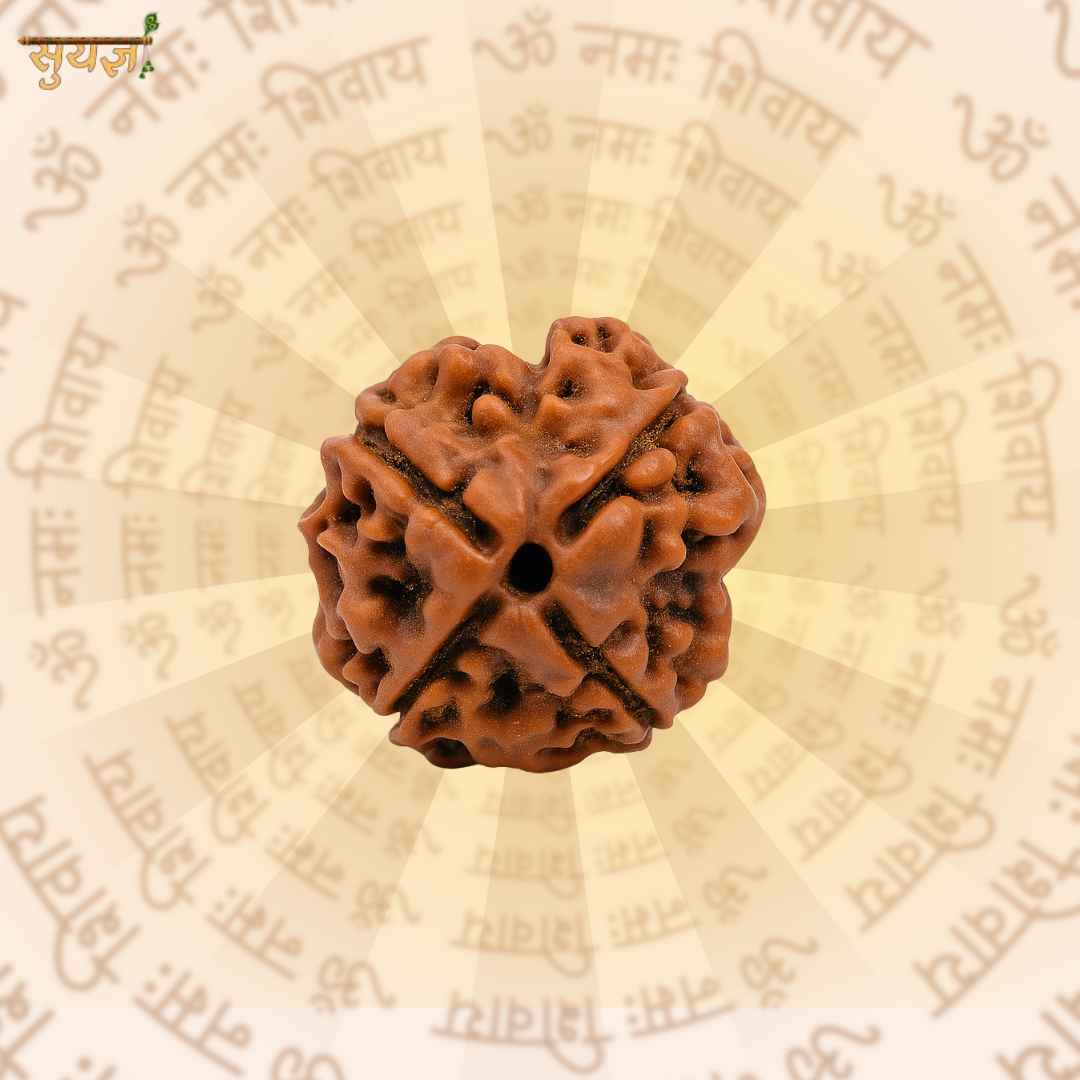 4 (मुखी) Faces Rudraksh (Super)
